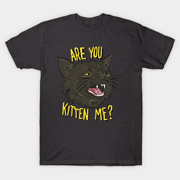 Are You Kitten Me - Black Cat T-Shirt by TheEND42